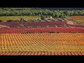 Image of the cover of the video;Paisatge i Oratge: Les Terres dels Alforins