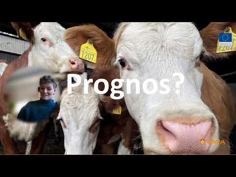 Jobba smart med de svagaste korna