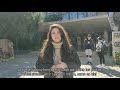 Imagen de la portada del video;Facultad de Geografía e Historia